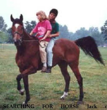 SEARCHING FOR HORSE Jack of Diamonds, Near Jamestown, NY, 00000